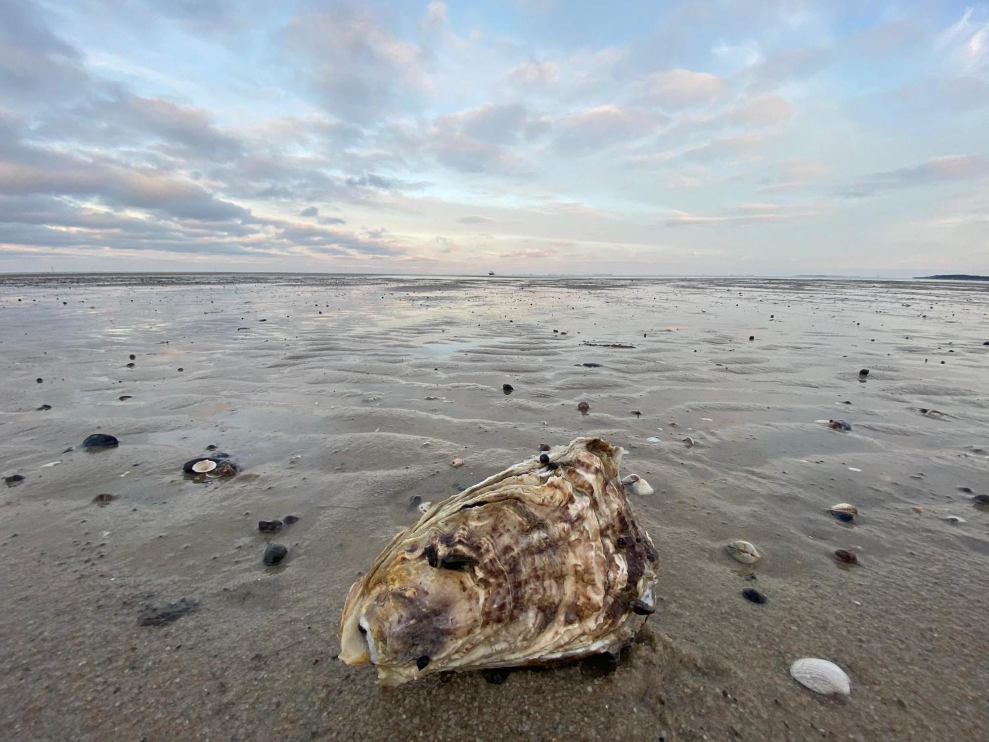 Im Haus Nordland Nordland, App 43 Westerland